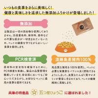 いのししふりかけ(ペット用) 淡路島産猪肉100%　20g×1袋